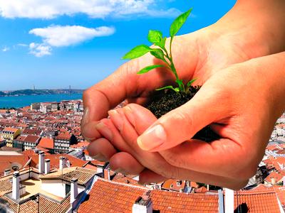 Legazpi, Amurrio, Azpeitia, Amorebieta-Etxano y Mallabia ganan los Premios Udalsarea 21-2010 a los municipios más sostenibles del País Vasco